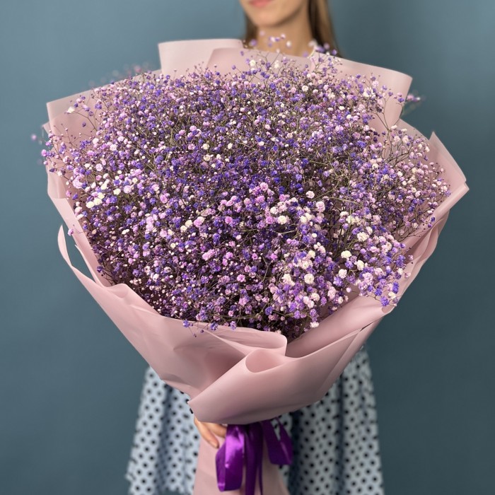 15 фиолетовых гипсофил